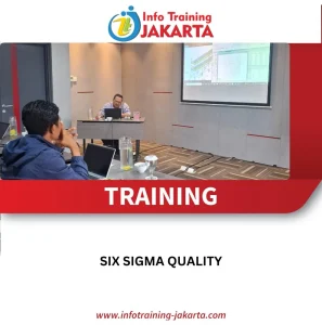 Training Six Sigma Quality Control 